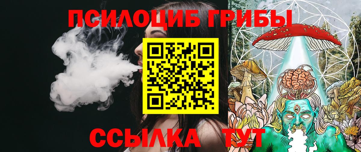 Галлюциногенные грибы Psilocybe Альметьевск