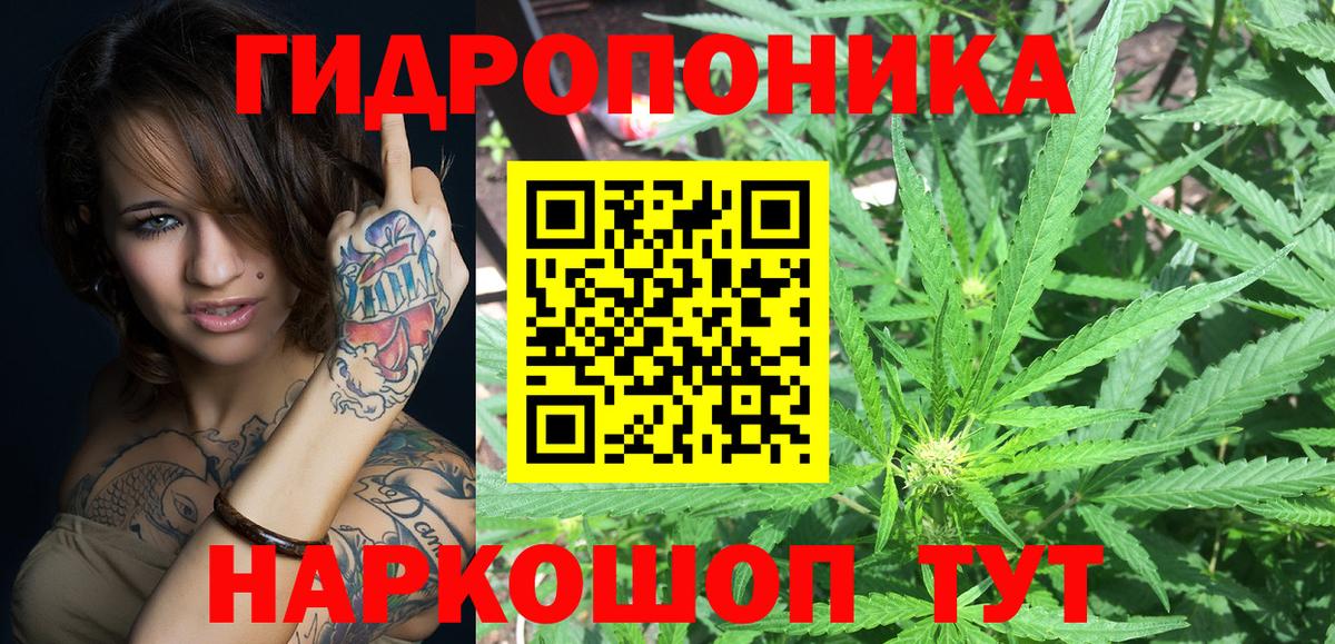 Бошки Шишки сатива  Вход с VPN  Бошки Шишки Bruce Banner  Альметьевск 